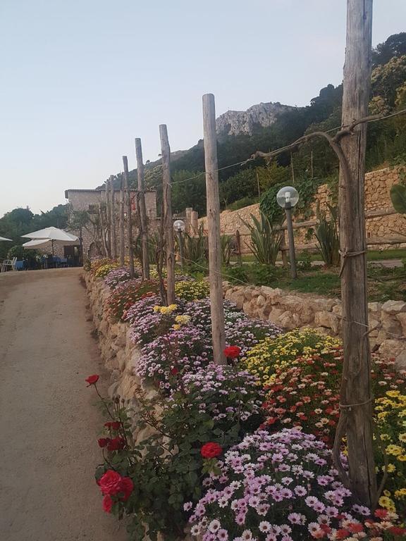 Agriturismo Del Sole Анакапри Екстериор снимка