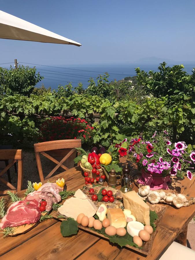 Agriturismo Del Sole Анакапри Екстериор снимка