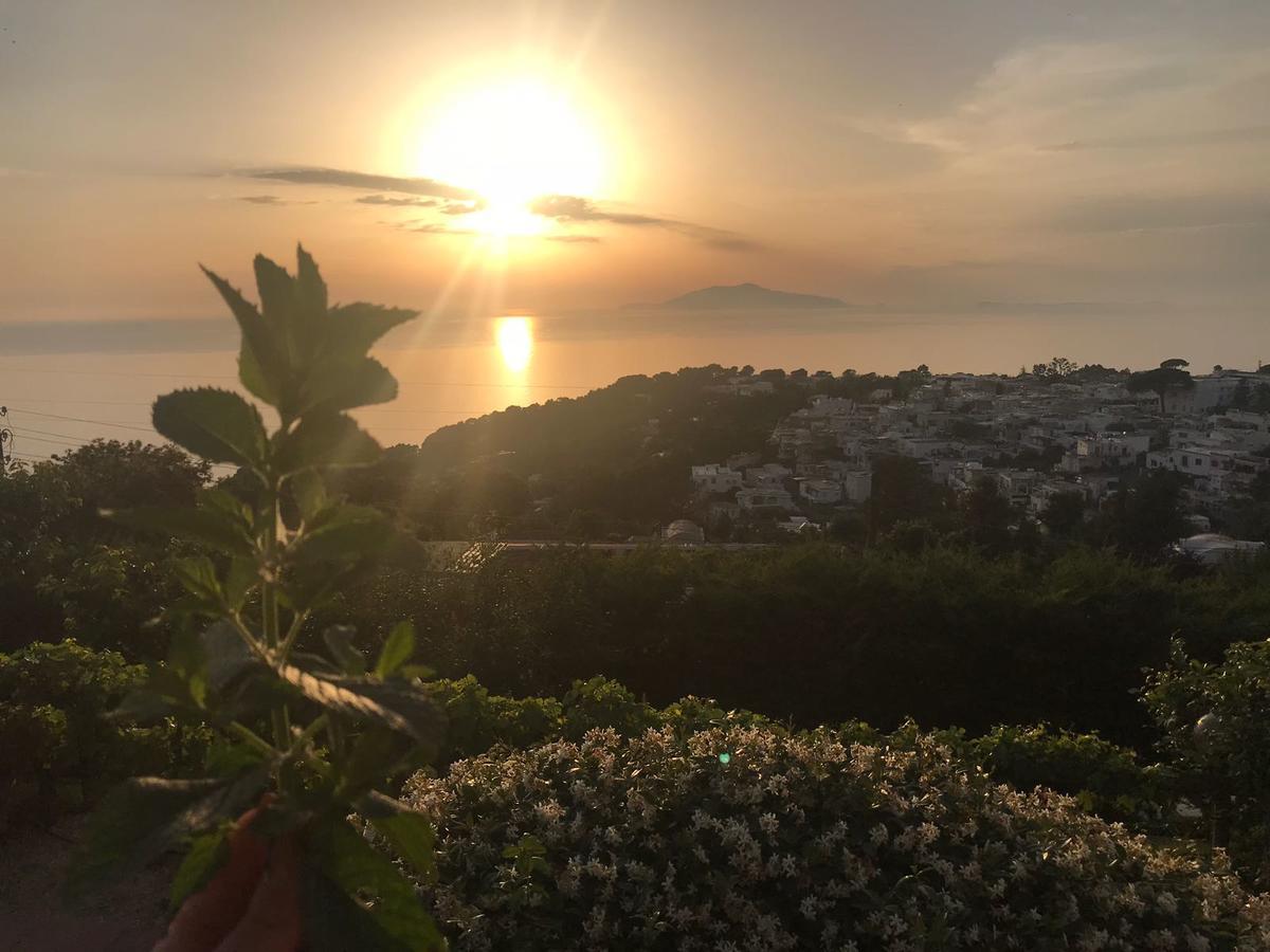 Agriturismo Del Sole Анакапри Екстериор снимка